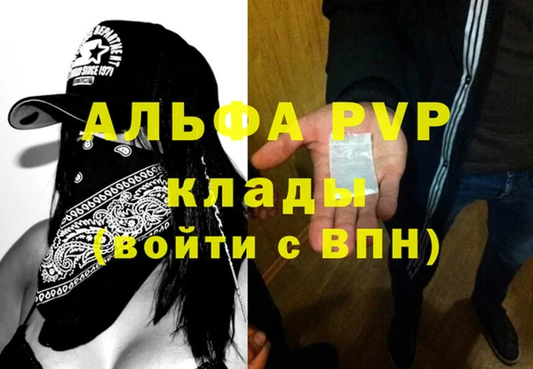 спиды Аркадак